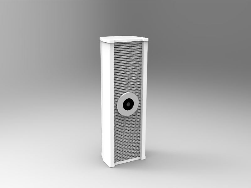 IP广播可视音柱40W